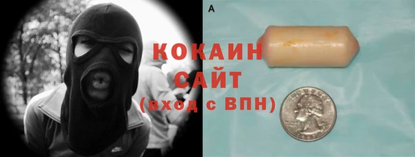 индика Балахна