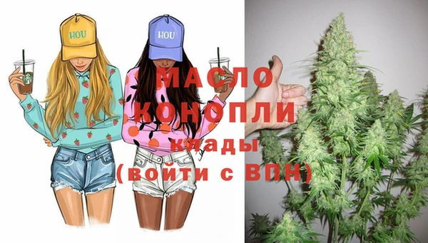 индика Балахна