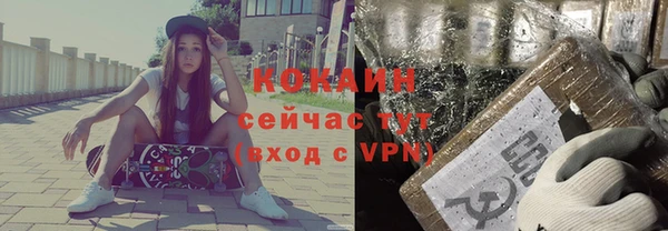 индика Балахна
