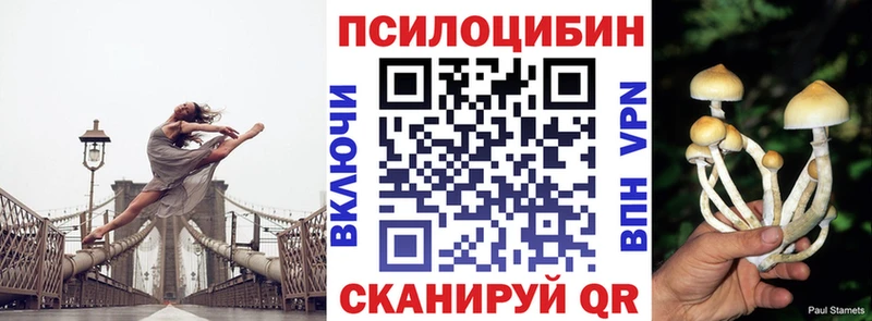Галлюциногенные грибы Psilocybine cubensis  Баксан 
