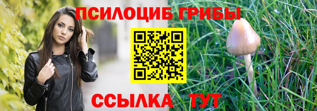 Галлюциногенные грибы Magic Shrooms  Вход с VPN  Баксан  Галлюциногенные грибы Psilocybe 
