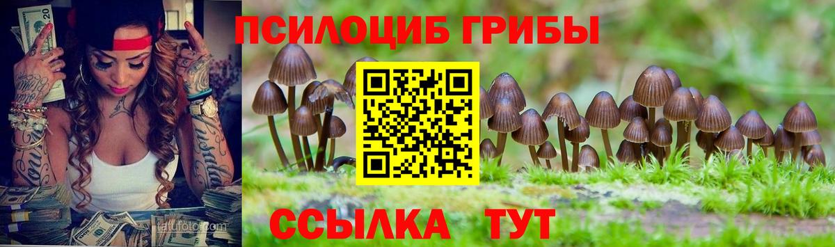 МЕФ Баксан